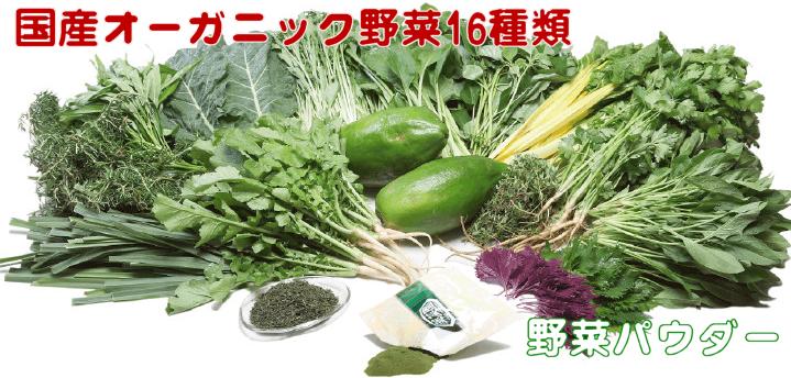 野菜パウダー・ベジパウダー（16種類の国産オーガニック野菜パウダー）青汁｜沖縄ウコン・沖縄フコイダン金秀バイオ健康食品通販ショップ