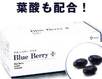 ブルーベリー プラス SSI