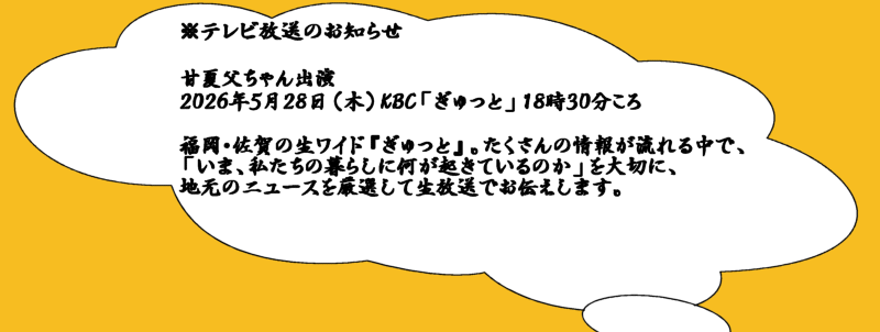 甘夏父ちゃんテレビ