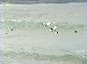 九州・立神岩サーフィン動画